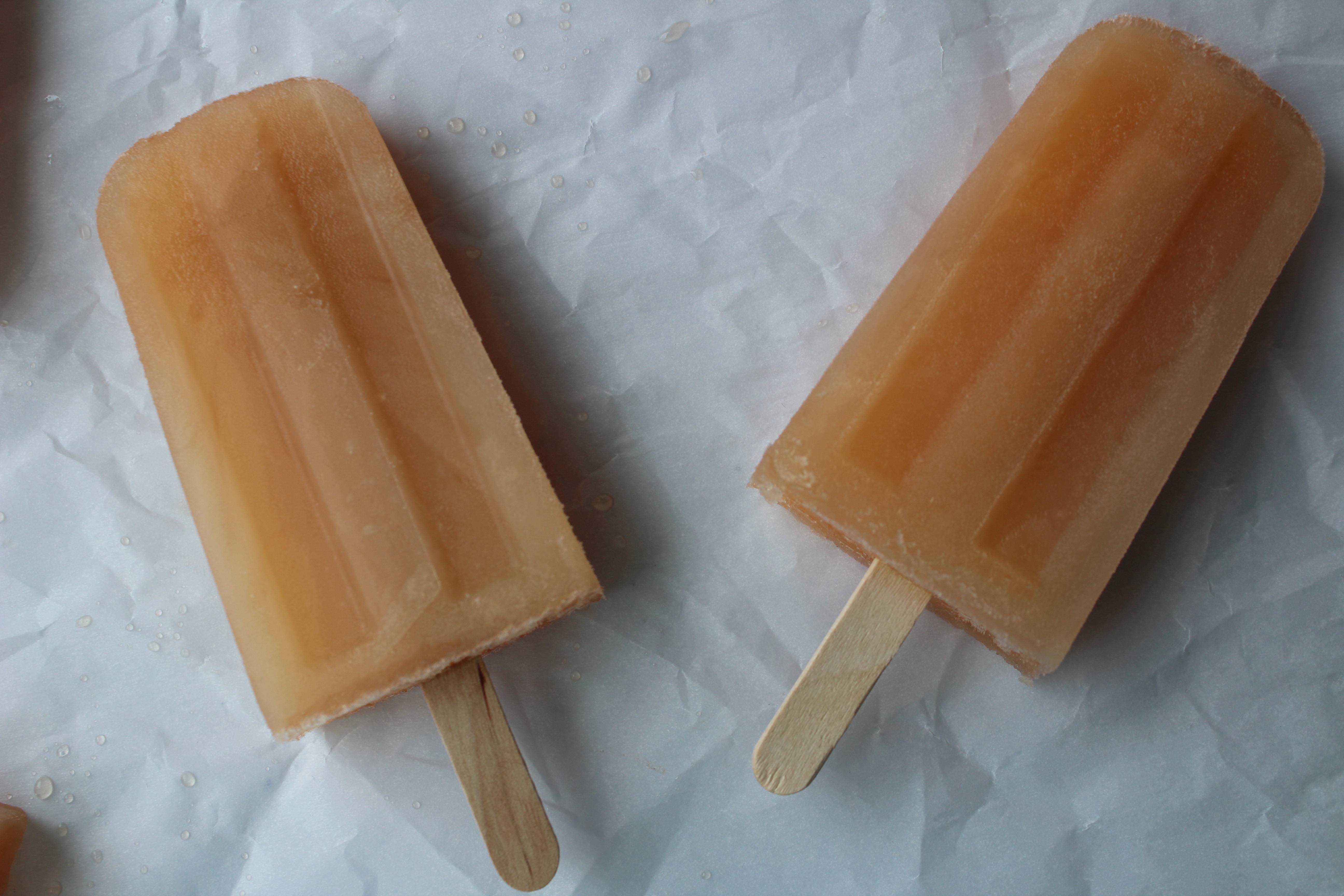 ginger paloma popsicles 