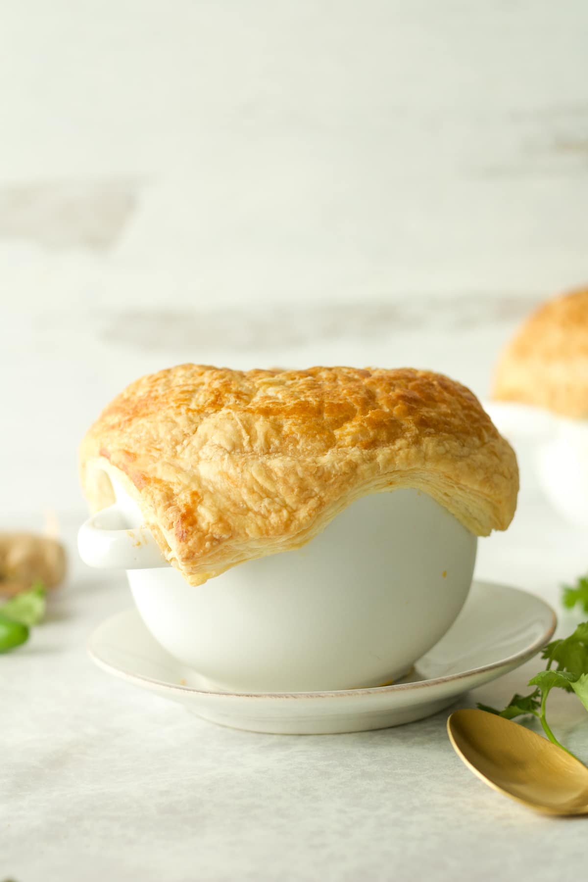 Curry chicken pot pie on serving plate.