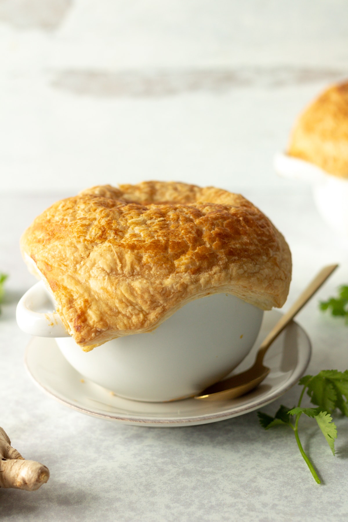 Pot pie on plate ready for serving.