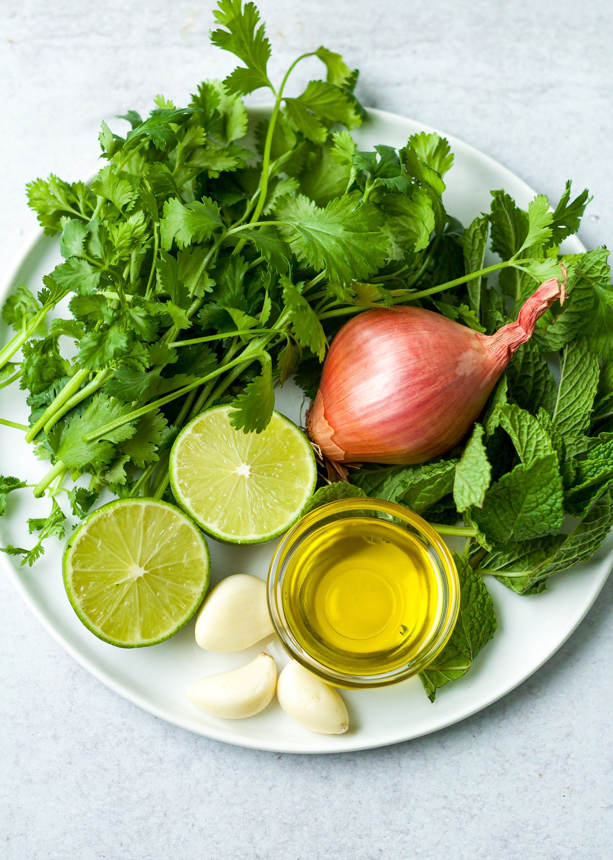 Ingredients for cilantro chimichurri sauce on plate.