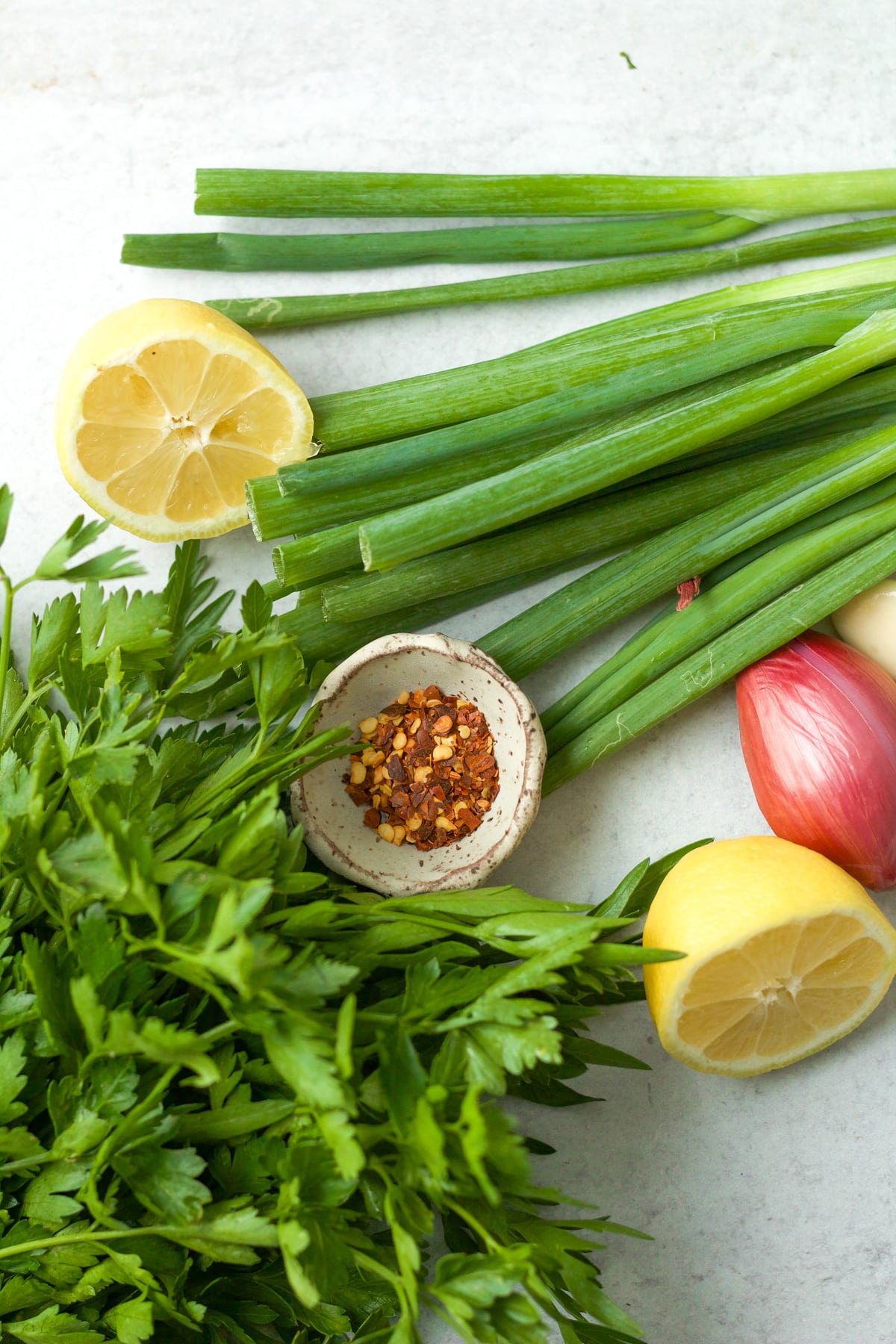 Grilled Scallion (Green Onion) Chimichurri - One Girl. One Kitchen.