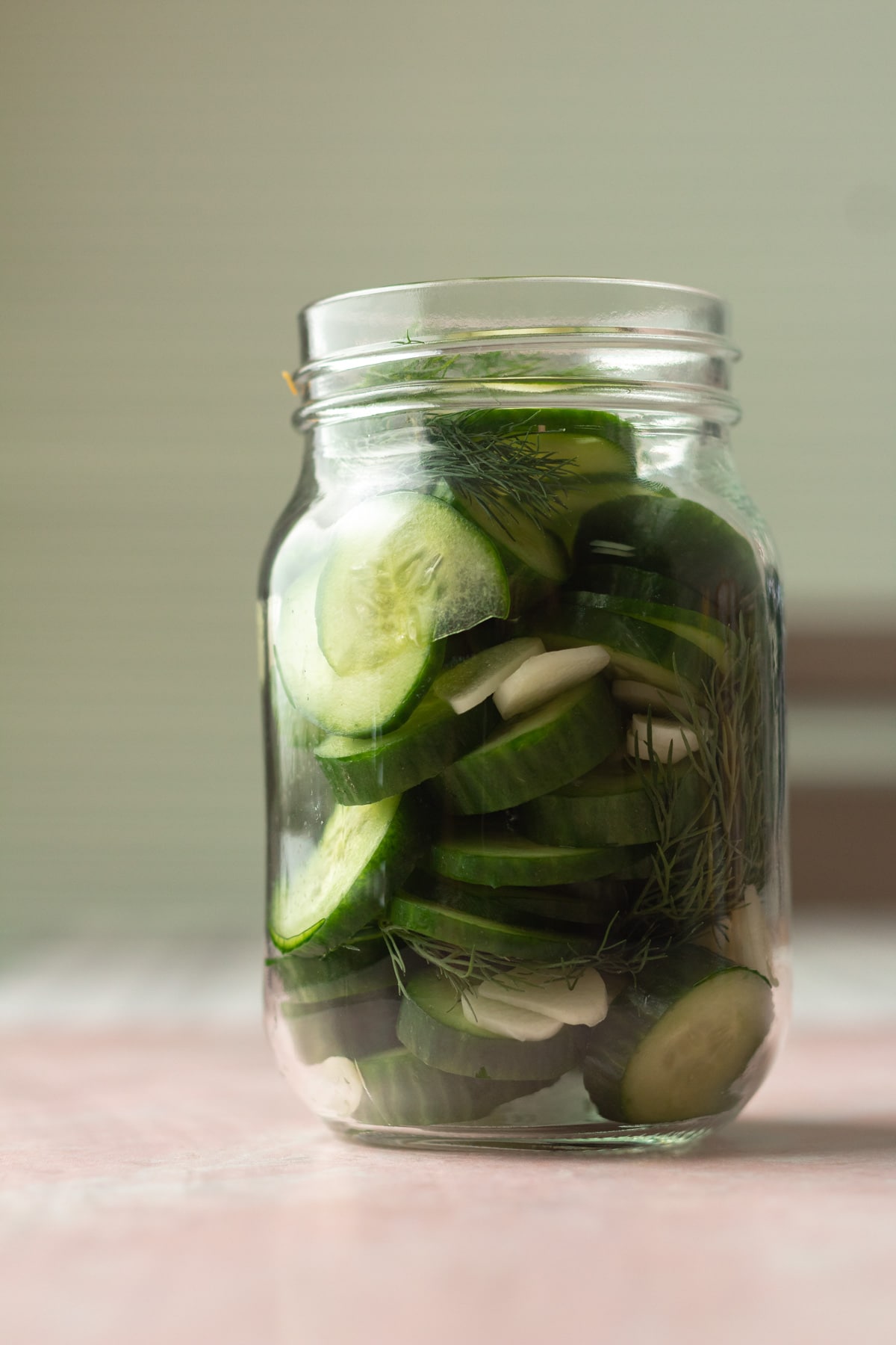 Jar with sliced cucumbers, dill and garlic for refrigerator dill pickles.