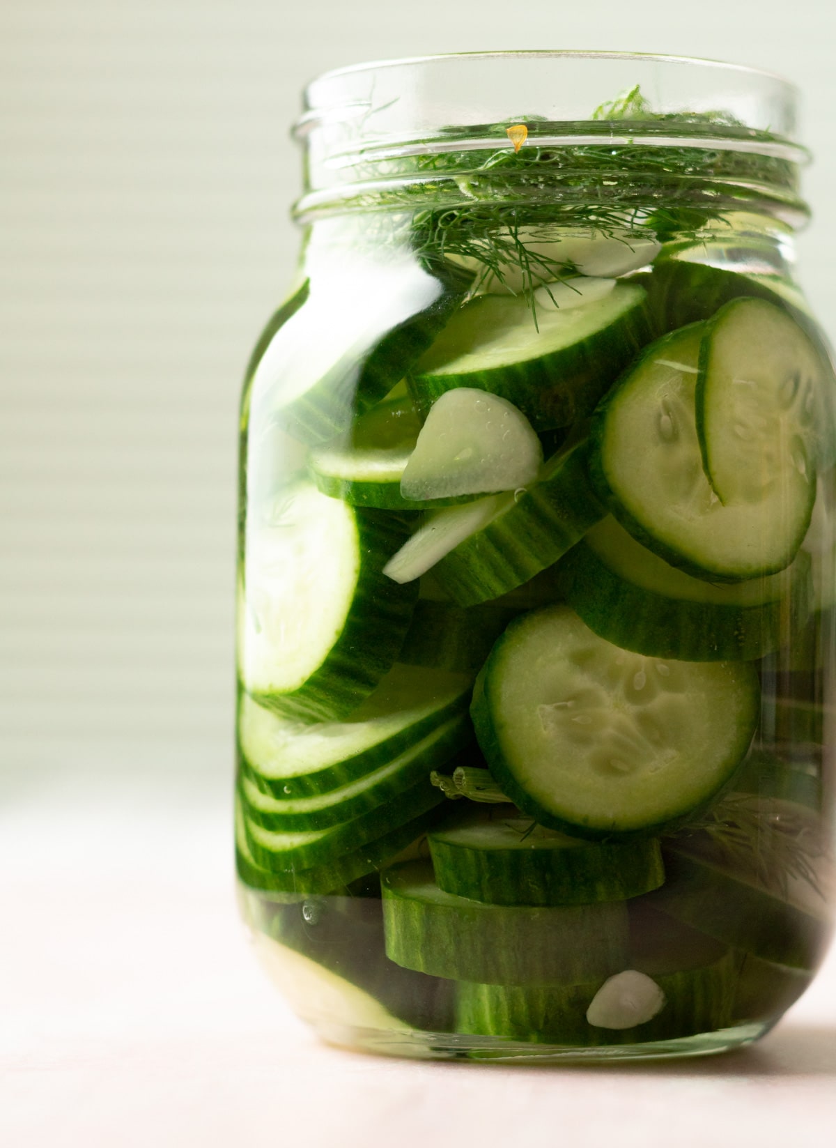 Small batch refrigerator dill pickles in brine.