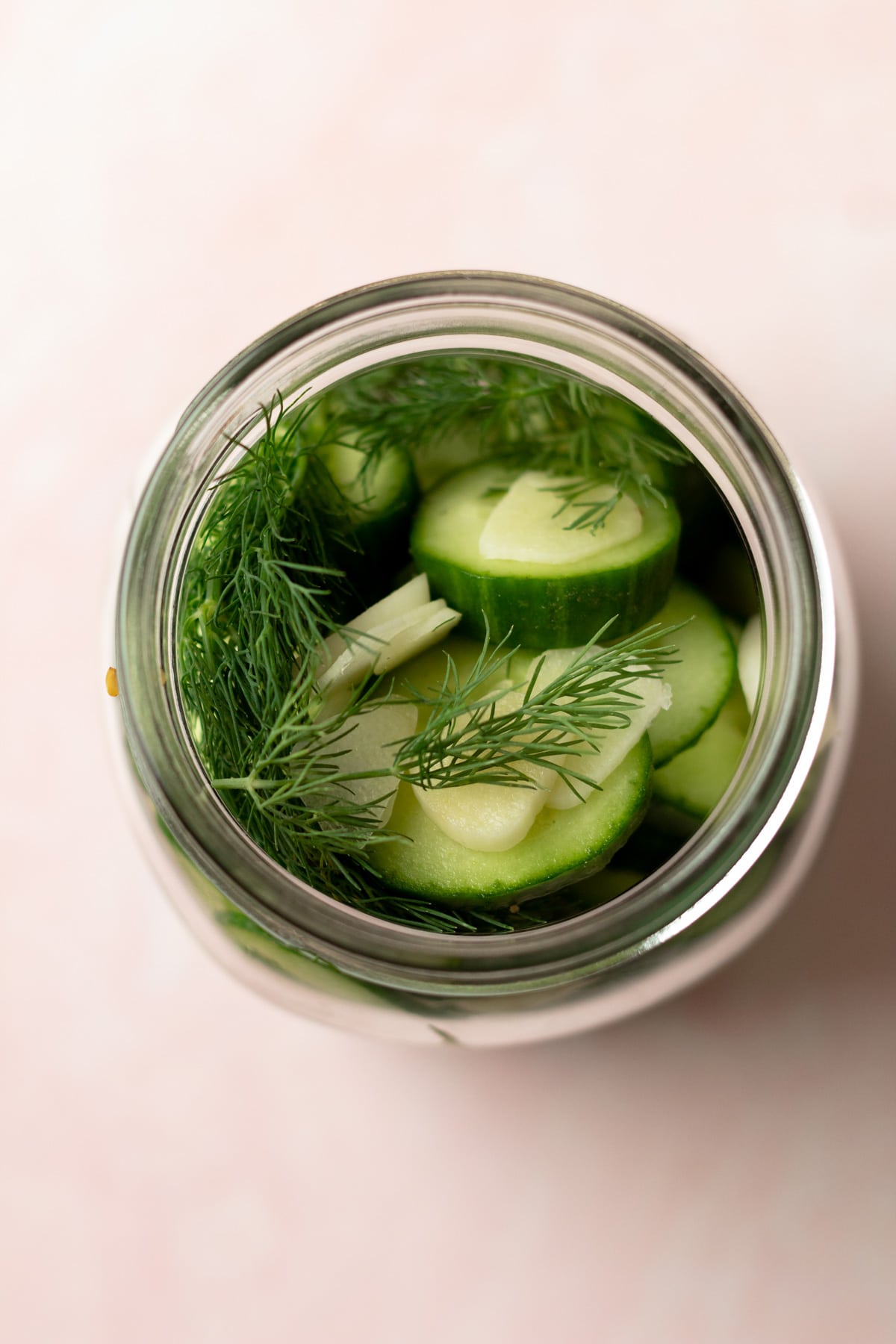 Bird's eye view of small batch refrigerator pickles in jar.