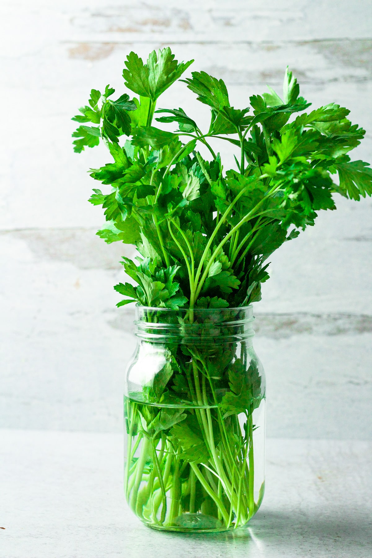 A bunch of parsley in mason jar with water.